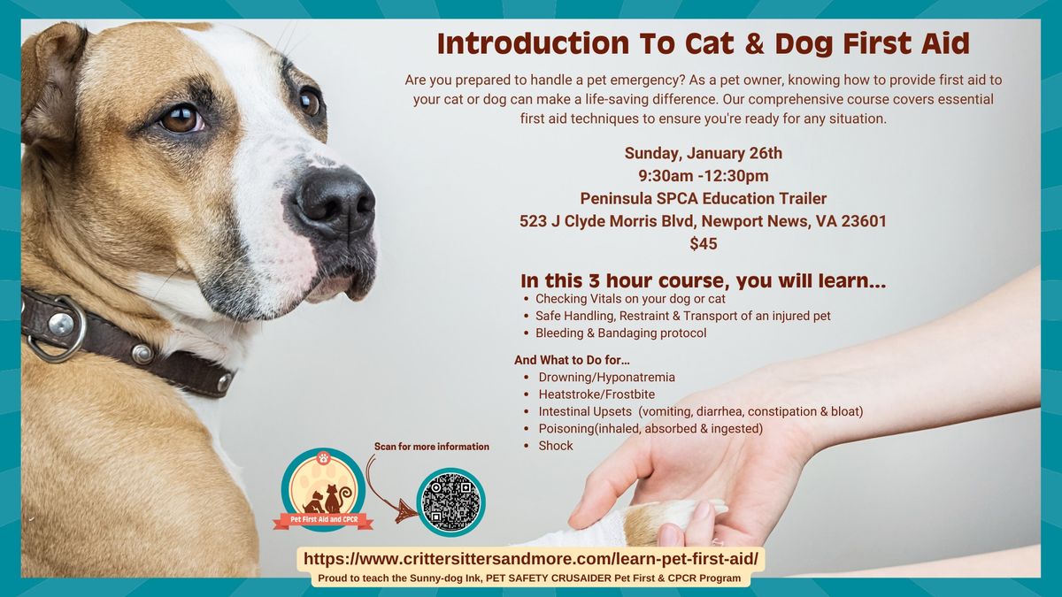 Introduction to Cat & Dog First Aid