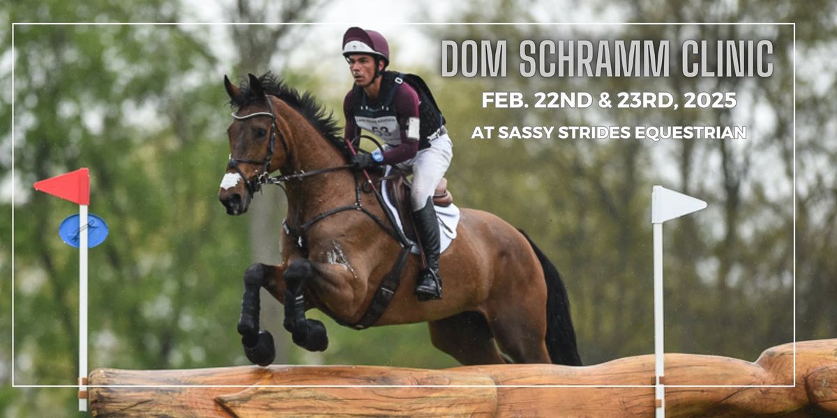 Dom Schramm Clinic