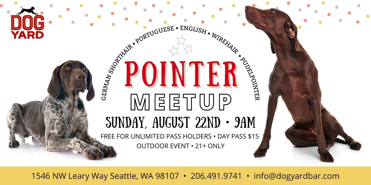Pointer Dog Meetup at the Dog Yard