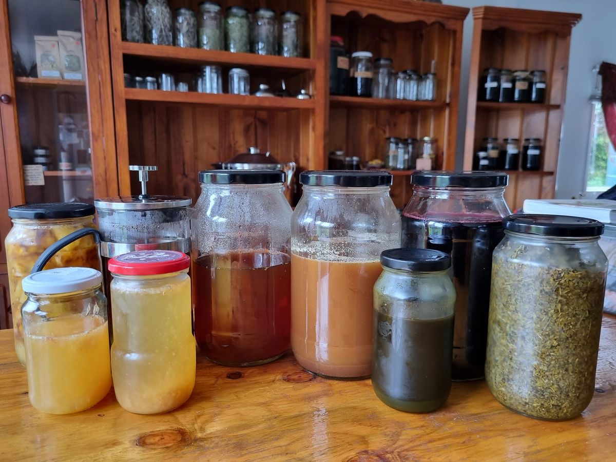 Fresh Plant Tincture- Herbal Medicine Making Class @Mullumbimby Community Garden