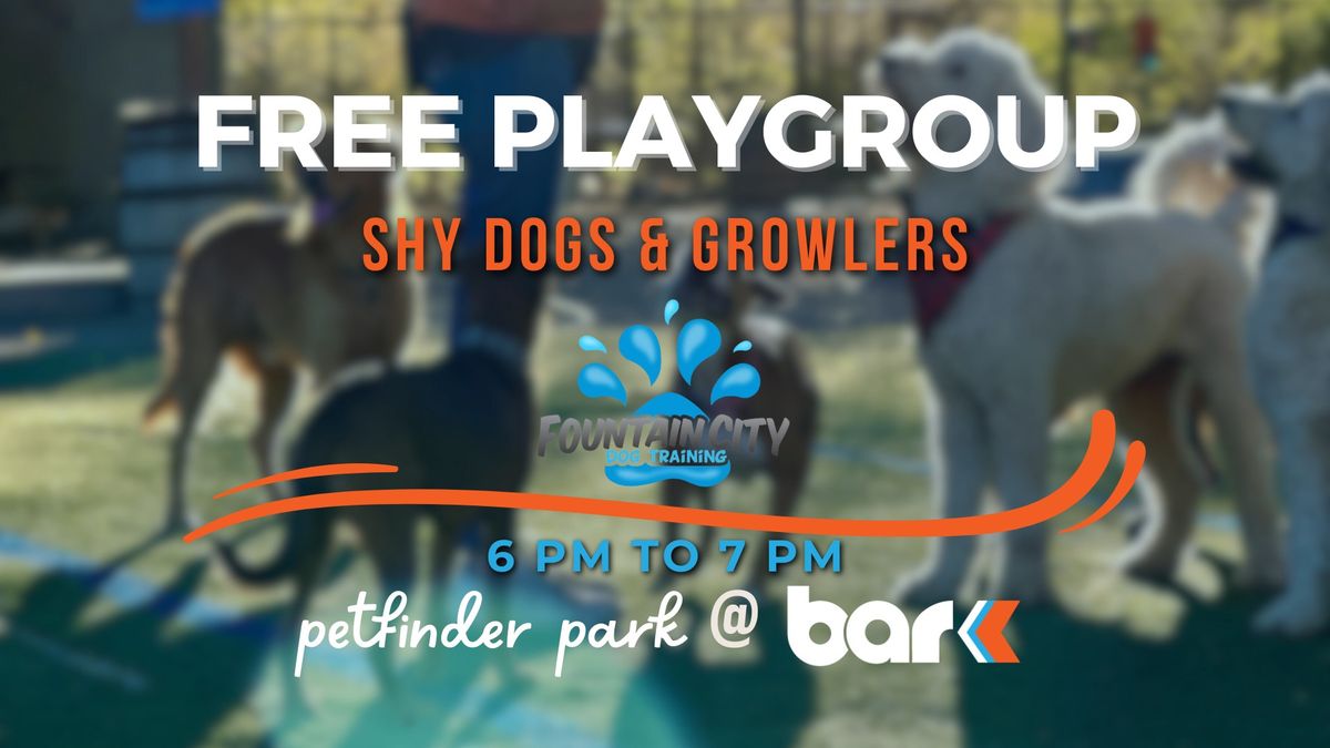 Free Playgroup for Socially Awkward Dogs