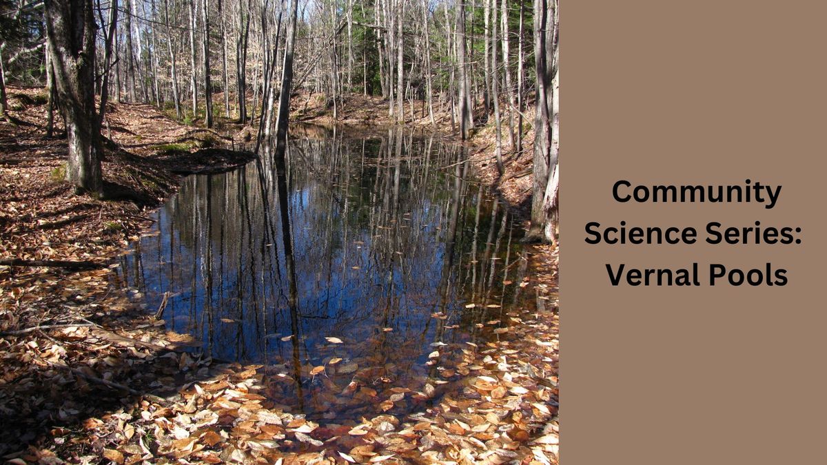 Community Science Series: Vernal Pools