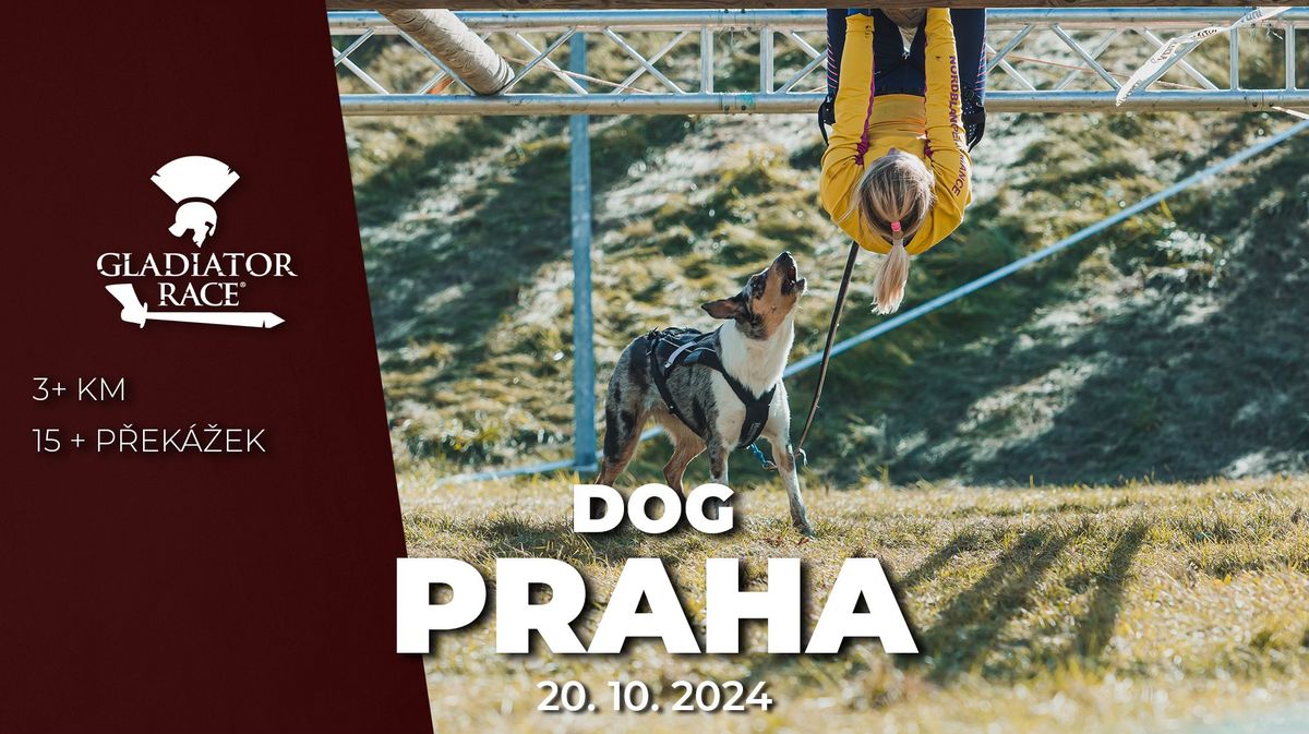 GLADIATOR RACE DOG PRAHA