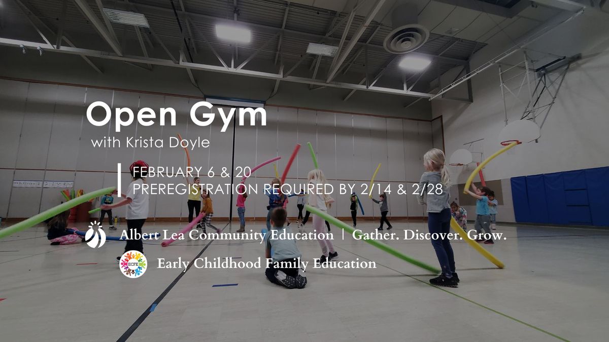 Open Gym: Ages 1-5