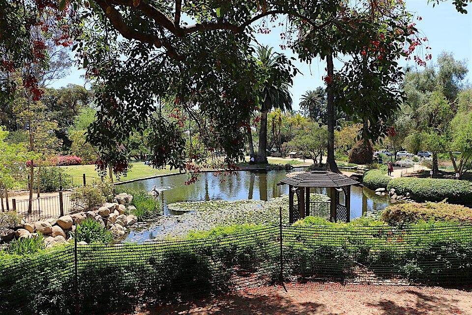 Path of Presence: An Introduction to Tantra & Mindfulness