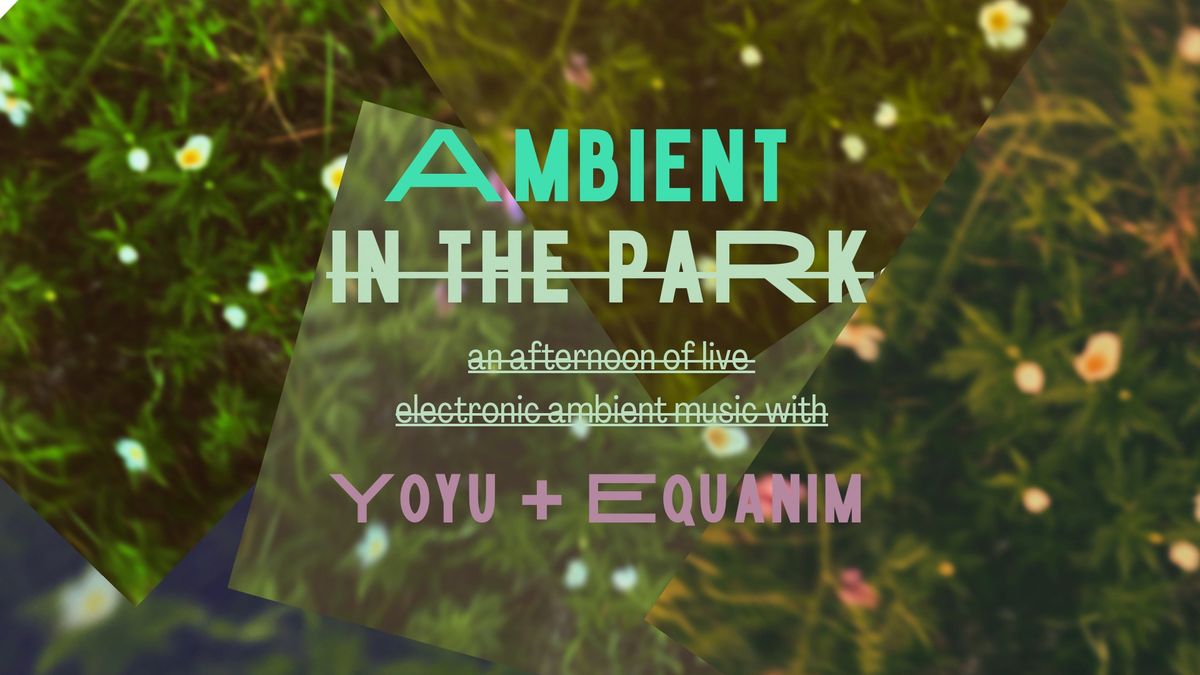 Ambient in the Park