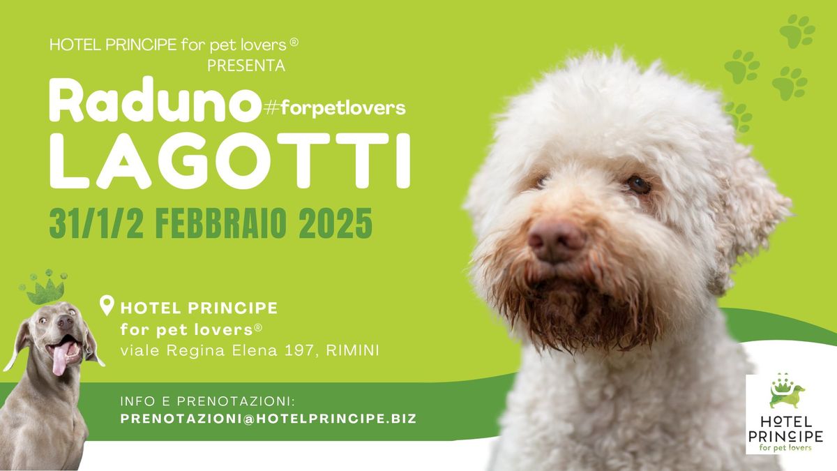 Raduno LAGOTTI #forpetlovers - Rimini