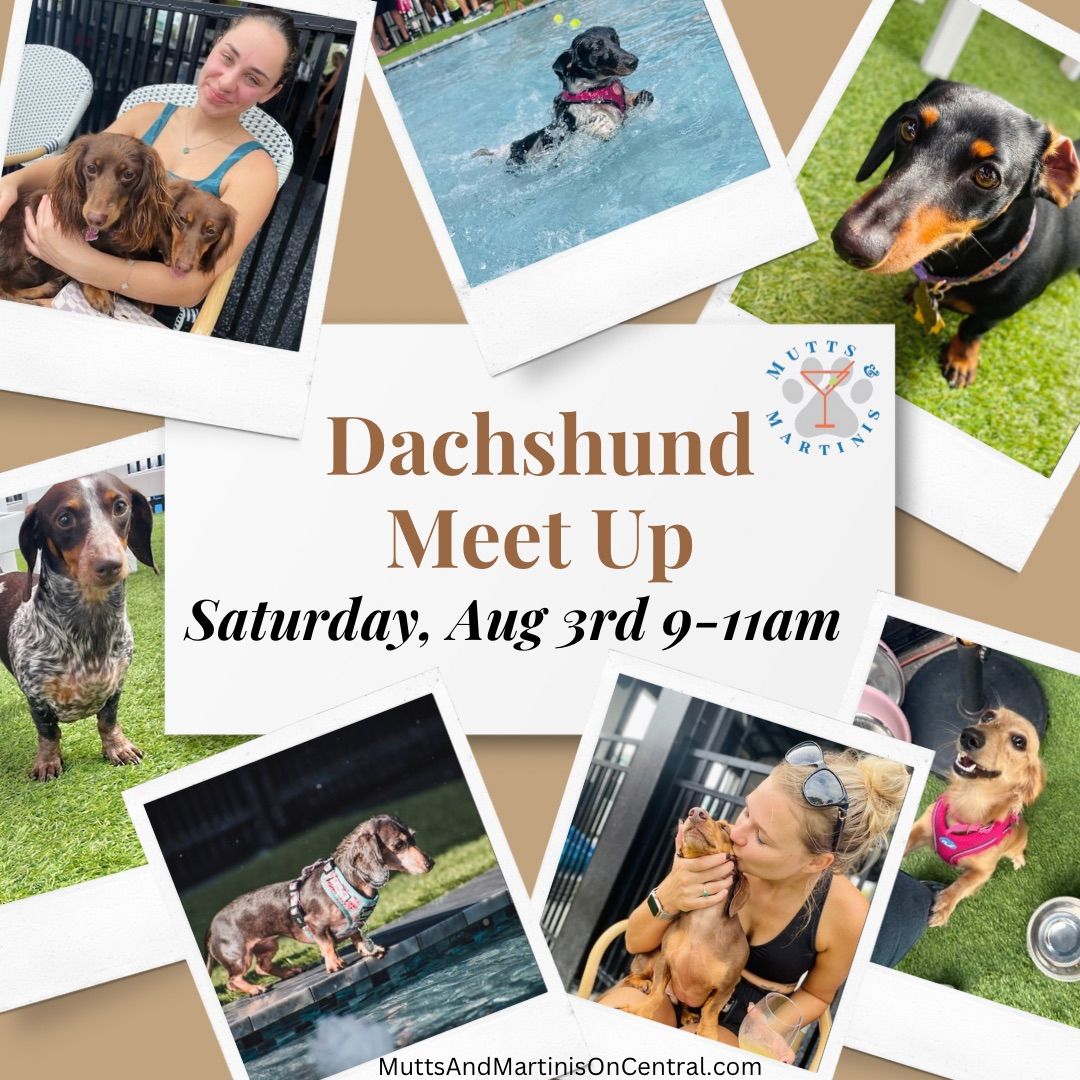 Dachshund Meet Up