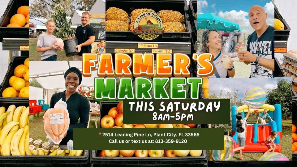 Saturday Farmers Market Sale; Kids Zone, Fruit Trees, U-pick Garden & More