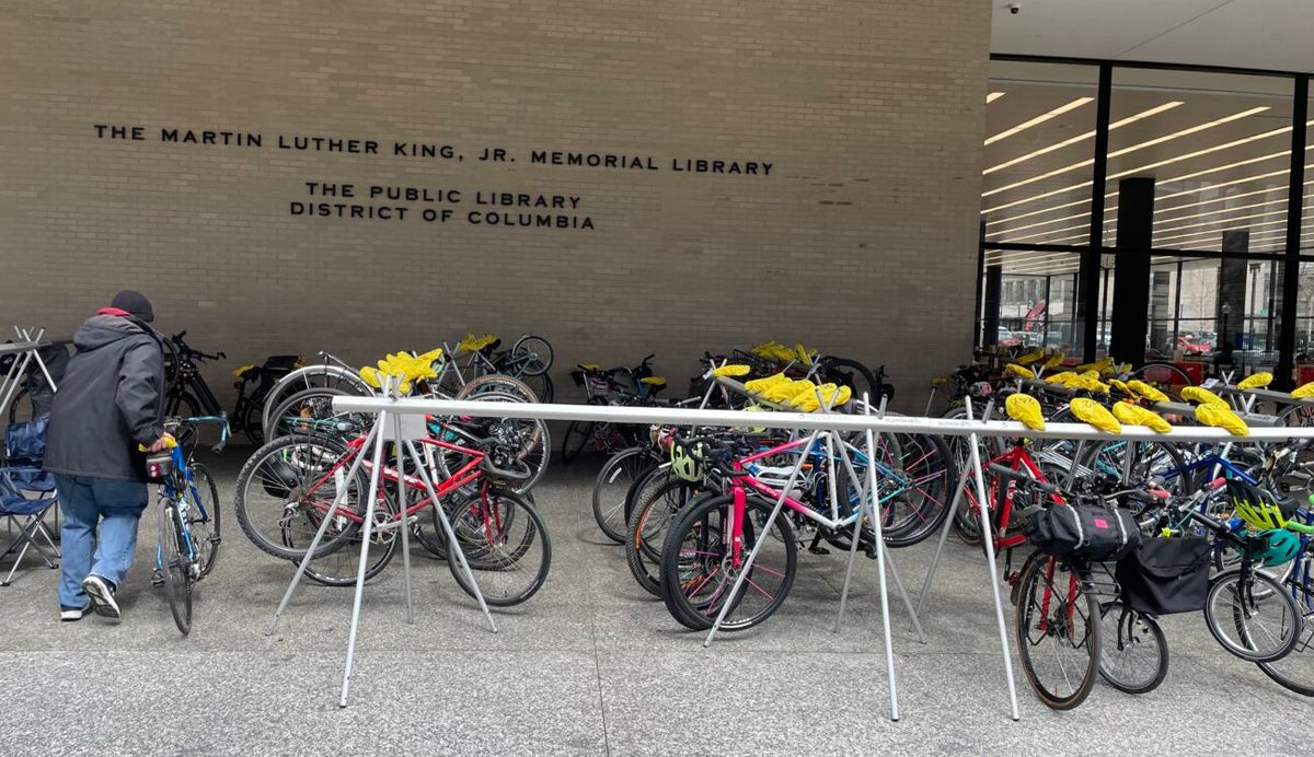 Parking Lion King Jr. - Sacramento