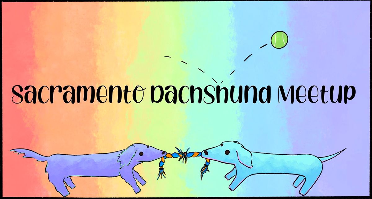 Sacramento\u2019s Second November Dachshund Meetup 