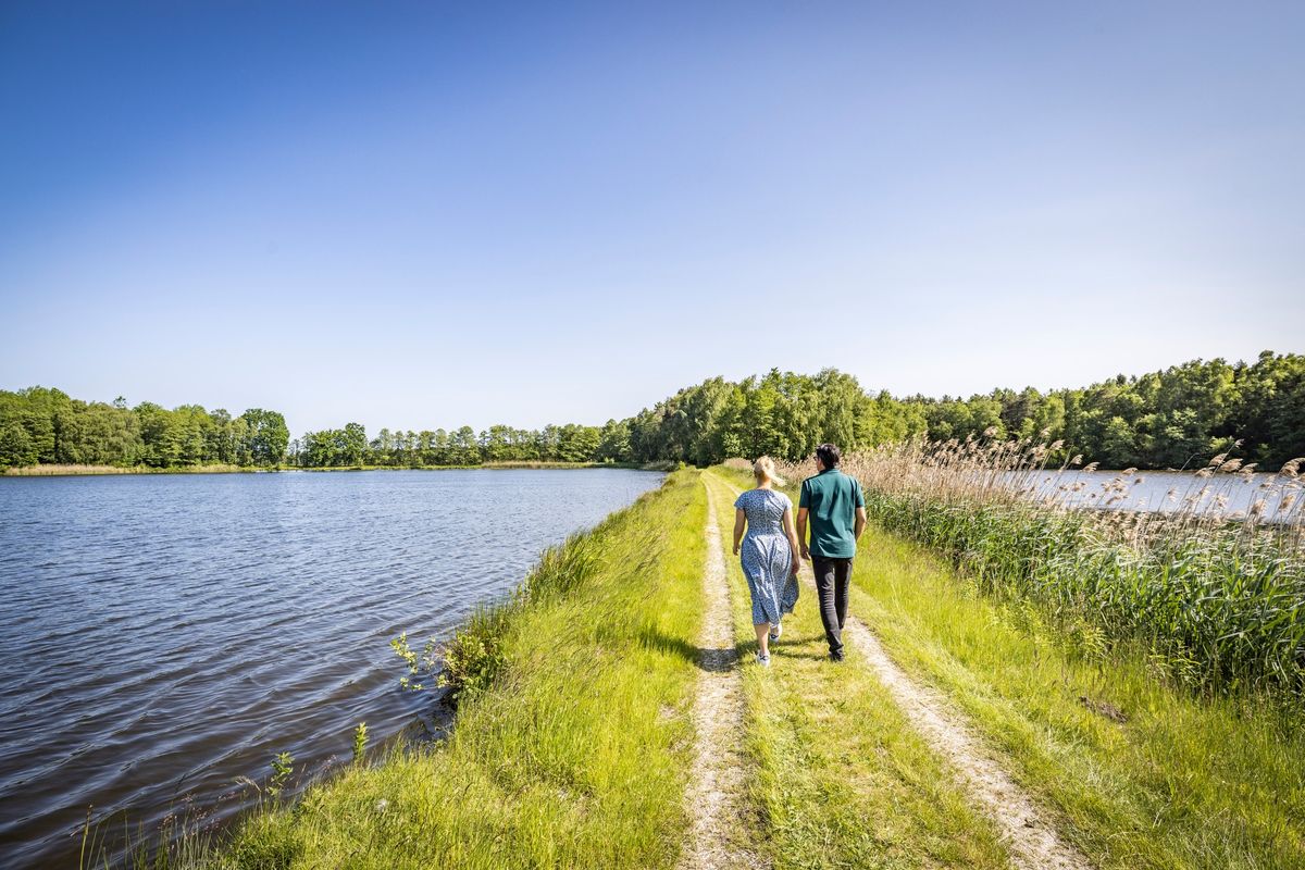 Naturkundliche Wanderung im Charlottenhofer Weihergebiet 