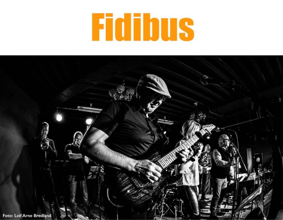 Fidibus