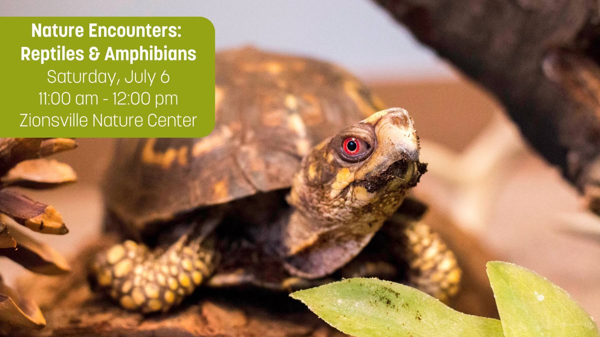 Nature Encounters: Reptiles and Amphibians
