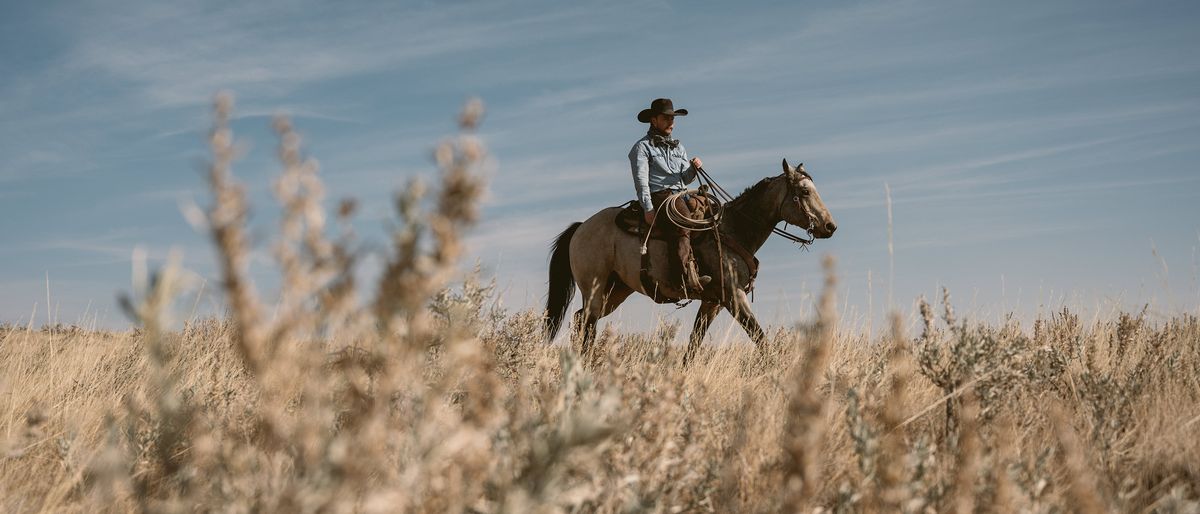 Colter Wall in Franklin