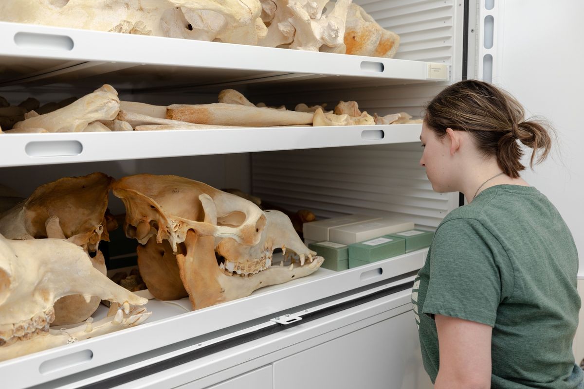 SciCurious? Explore MSU\u2019s Science Collections