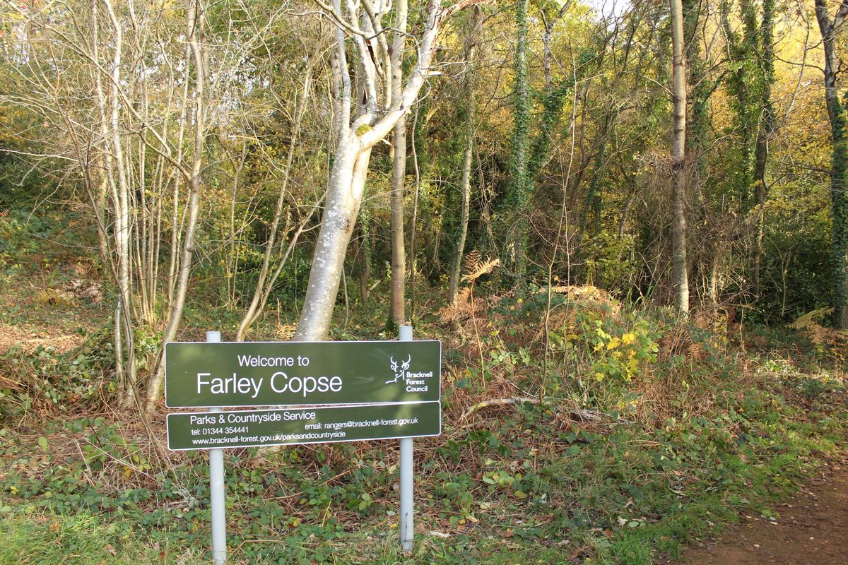 Farley Copse Work Party