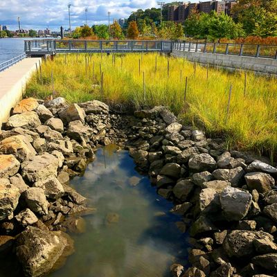 Roberto Clemente State Park