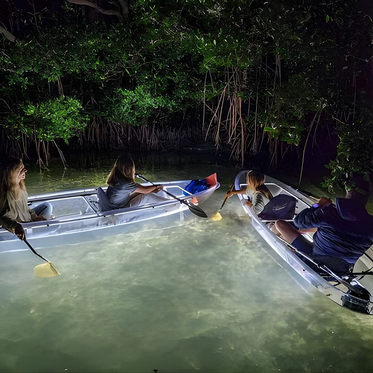 Clear Kayak LED Night Glass Bottom Tour - Siesta Key, FL