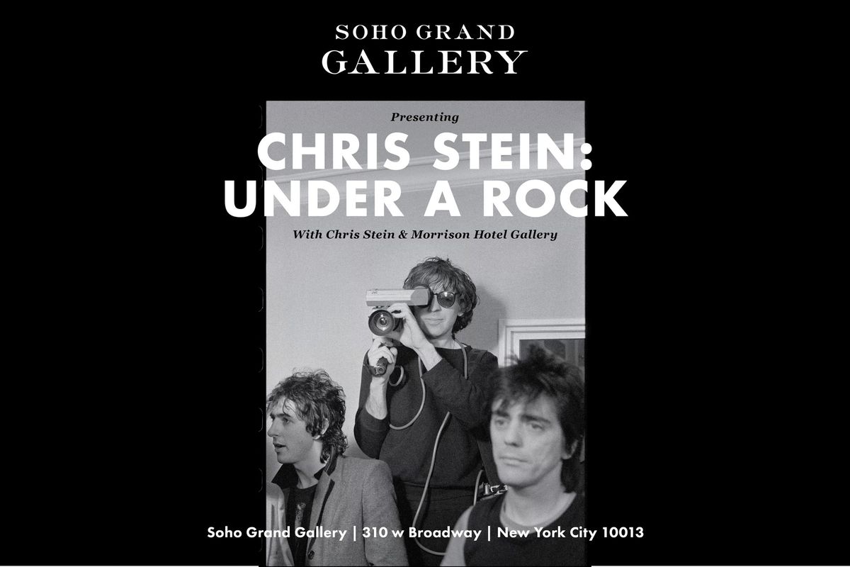 Chris Stein: Under A Rock