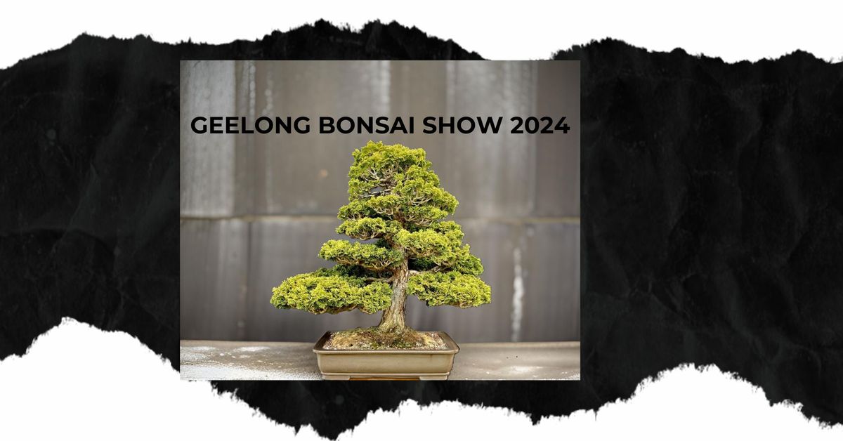 GEELONG BONSAI SHOW 2024