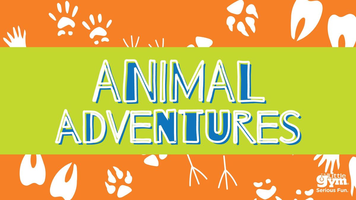 Animal Adventures Camp