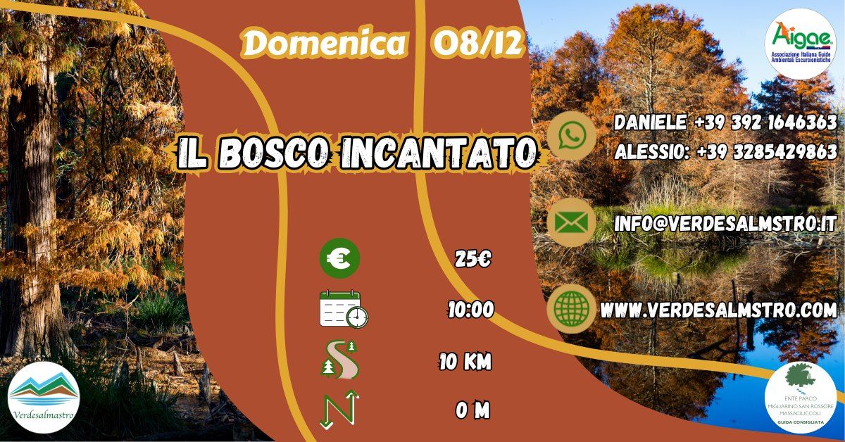 Il Bosco Incantato