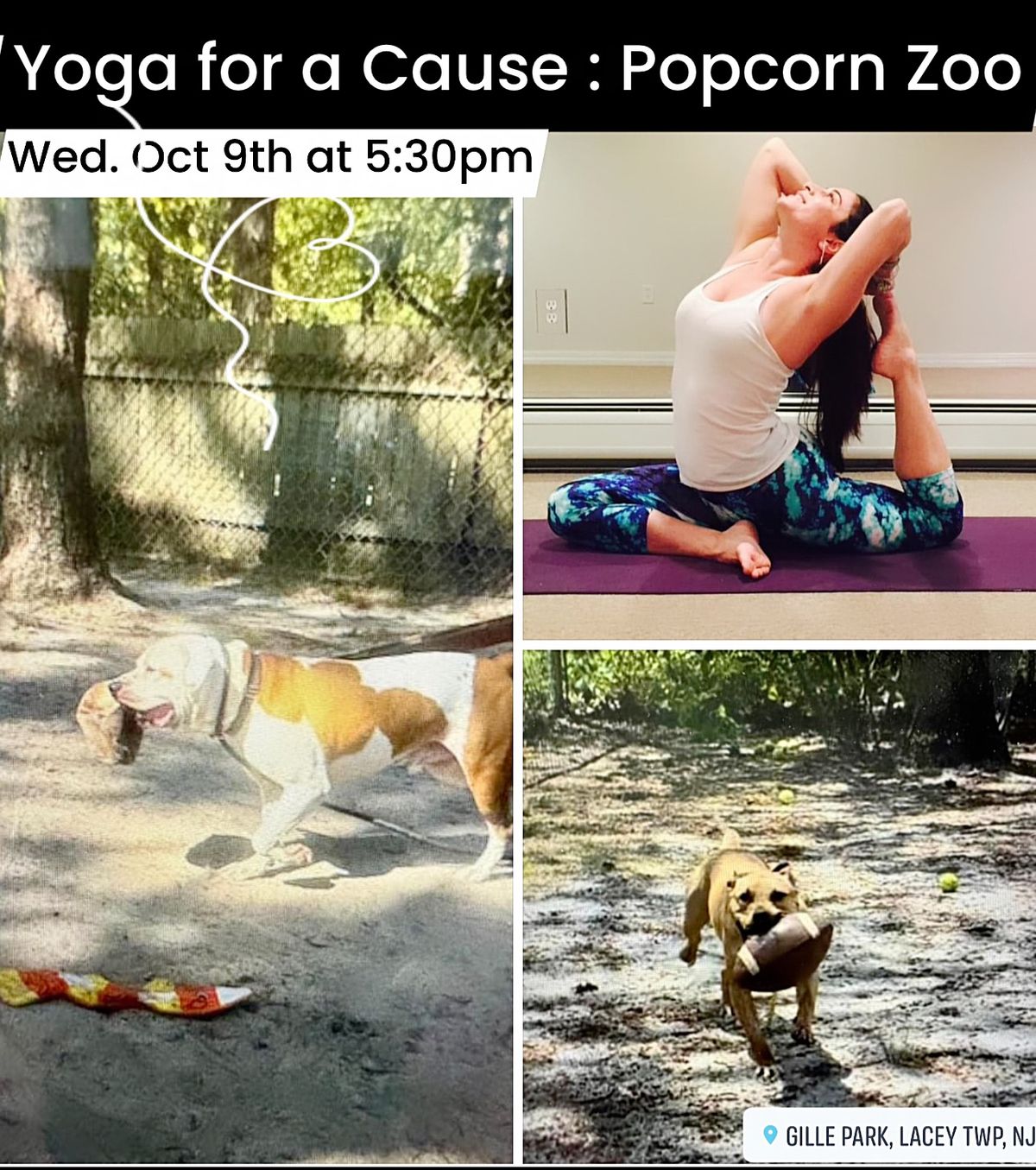 Yoga for a Cause: Popcorn Zoo