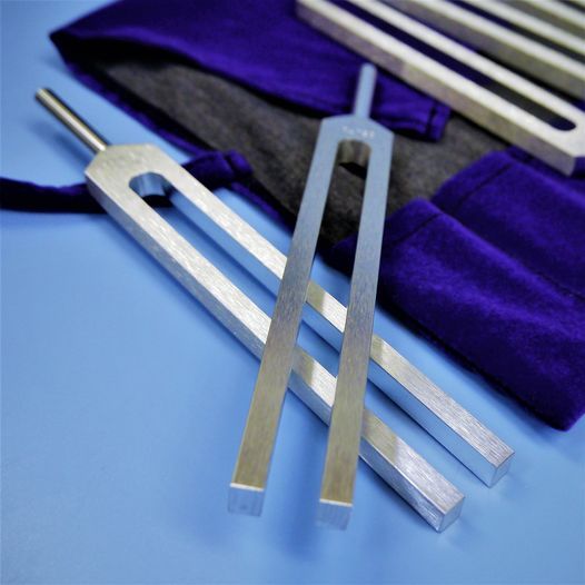 Level One Tuning Fork Course