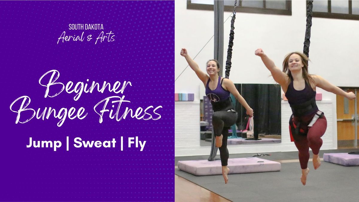 Beginner Bungee Fitness Class at South Dakota Aerial & Arts