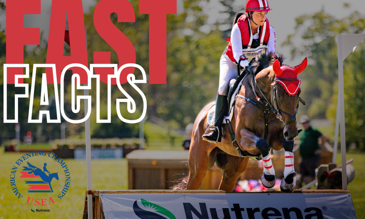 Canadian Show Jumping Championship Horseware at Coca-Cola Coliseum