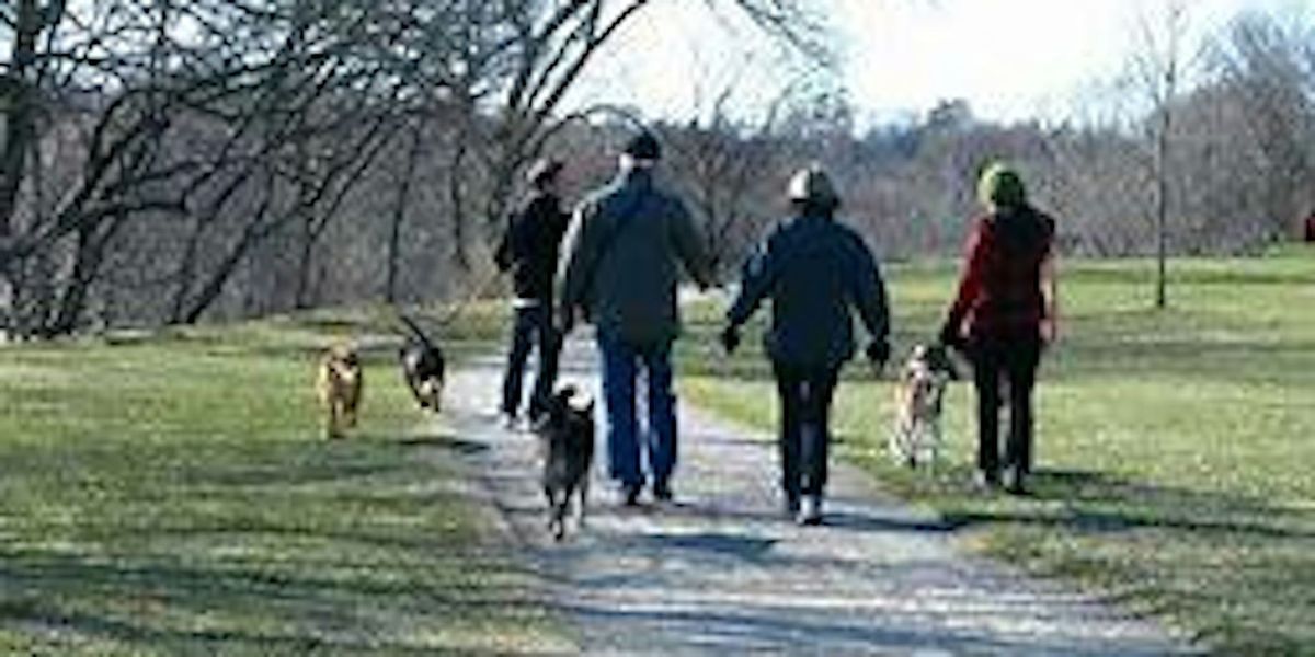 Pets for Mental Health Edinburgh Day Dog Walk