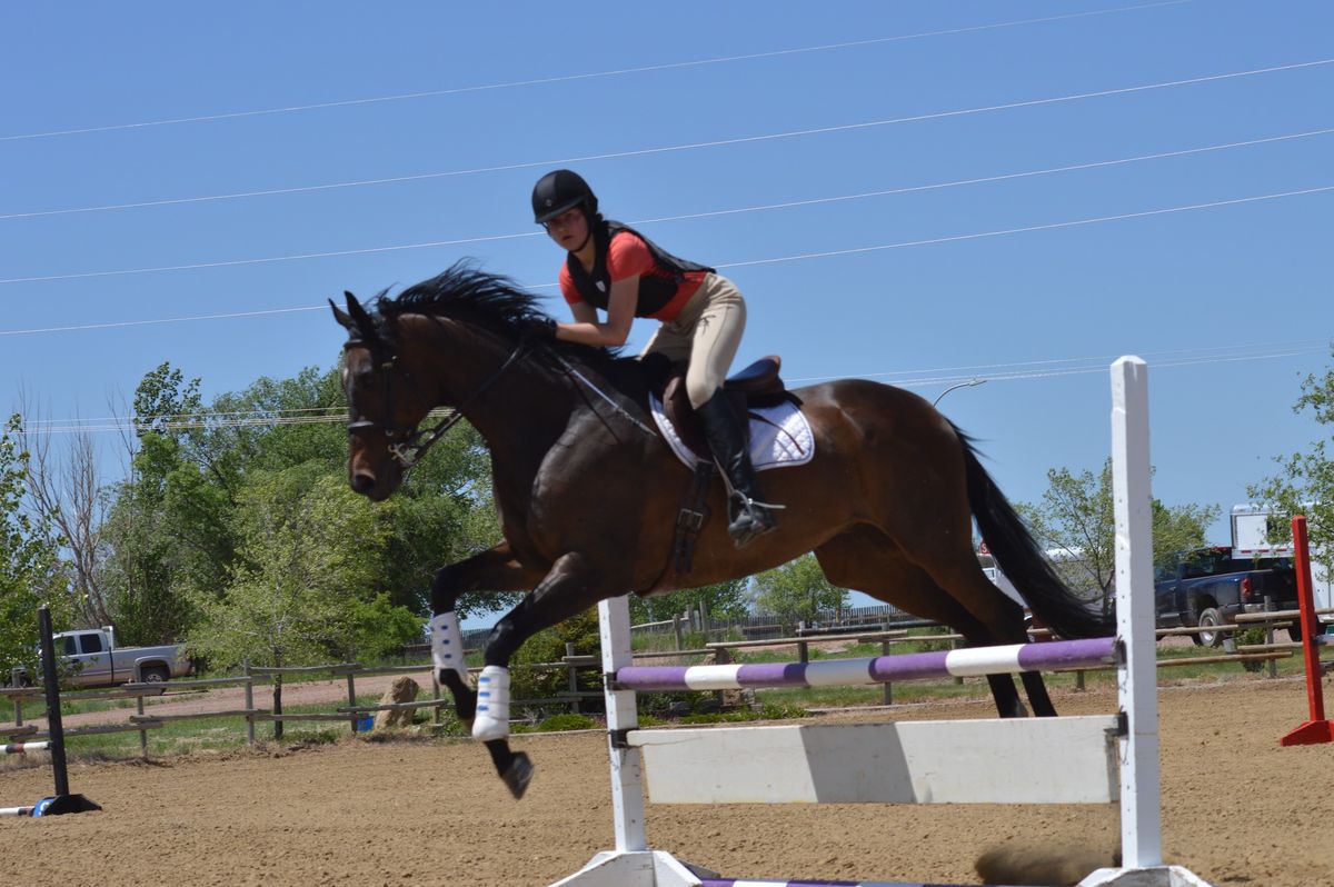 Show Jumping Clinic w\/Mariano Bedoya