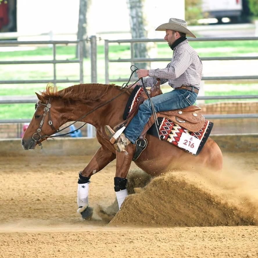 Stage reining avec Romuald poard 