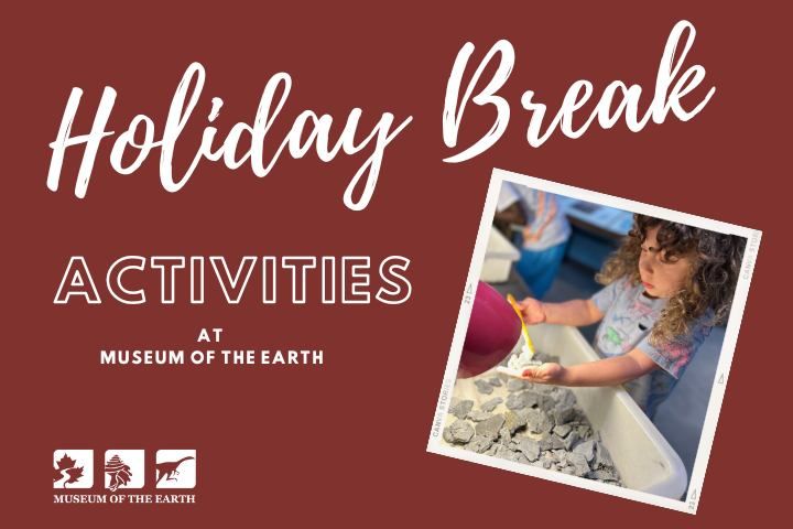 Holiday Break Activities at Museum of the Earth