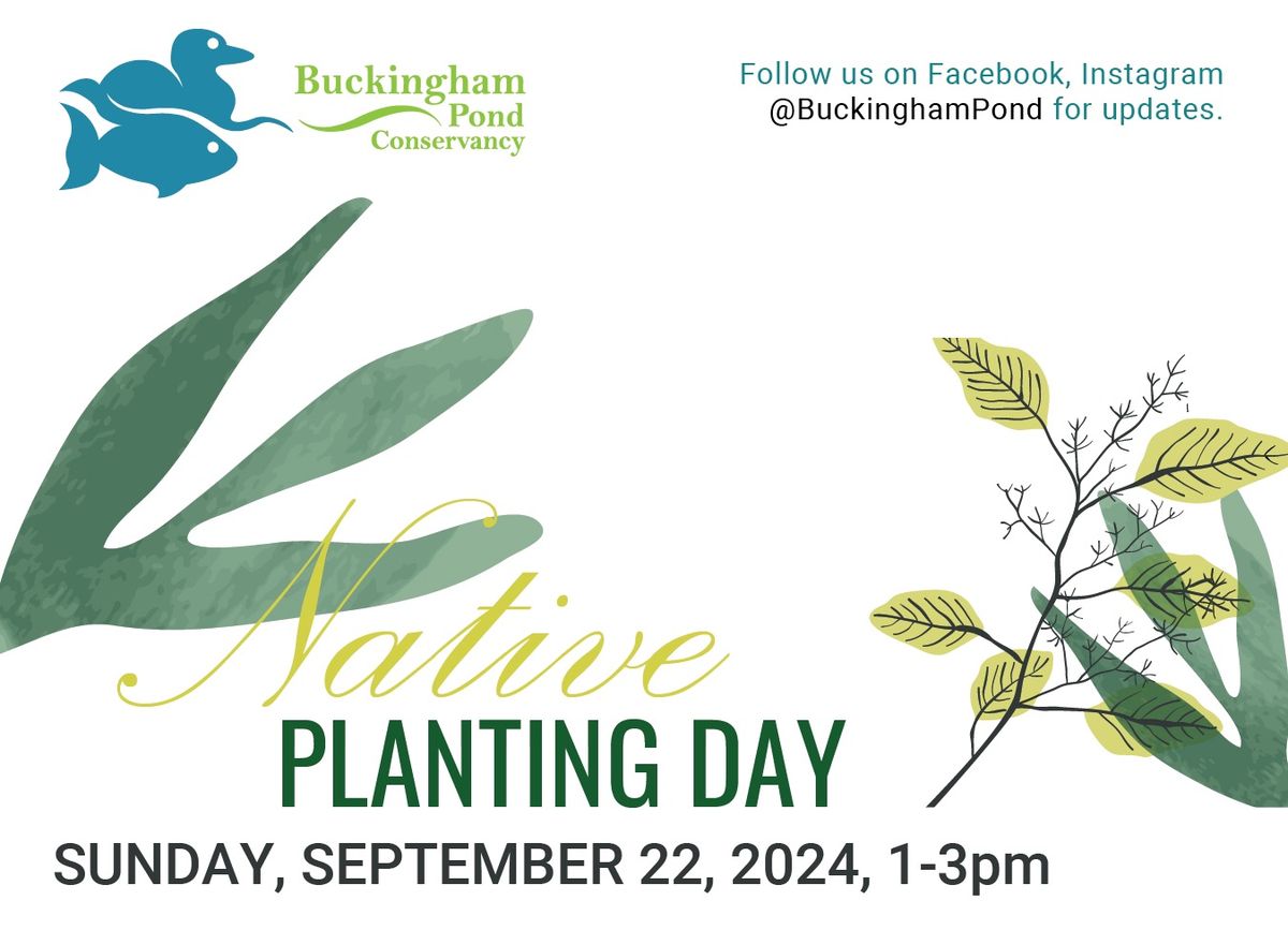 BPC Native Planting Day