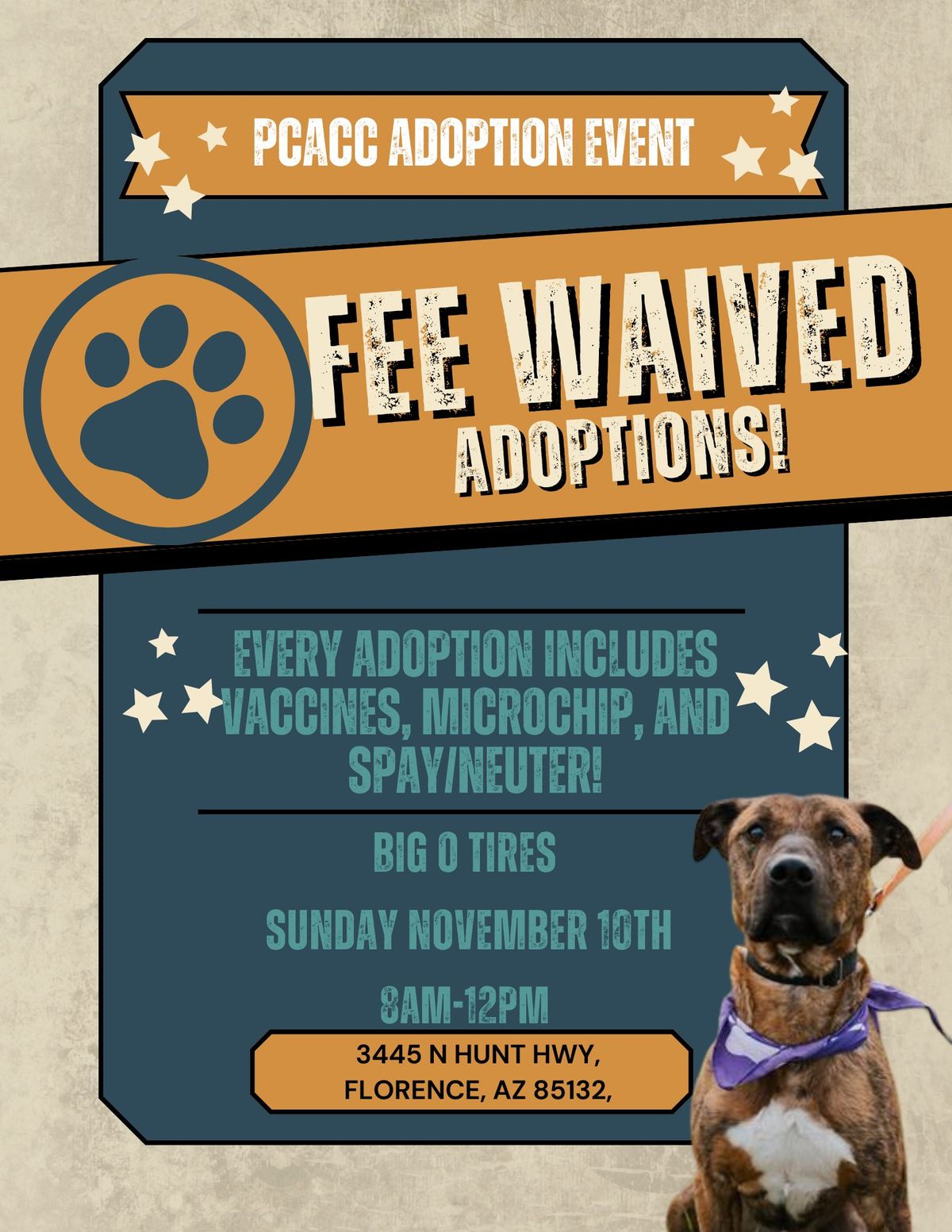 Big O Tires Adoption Event