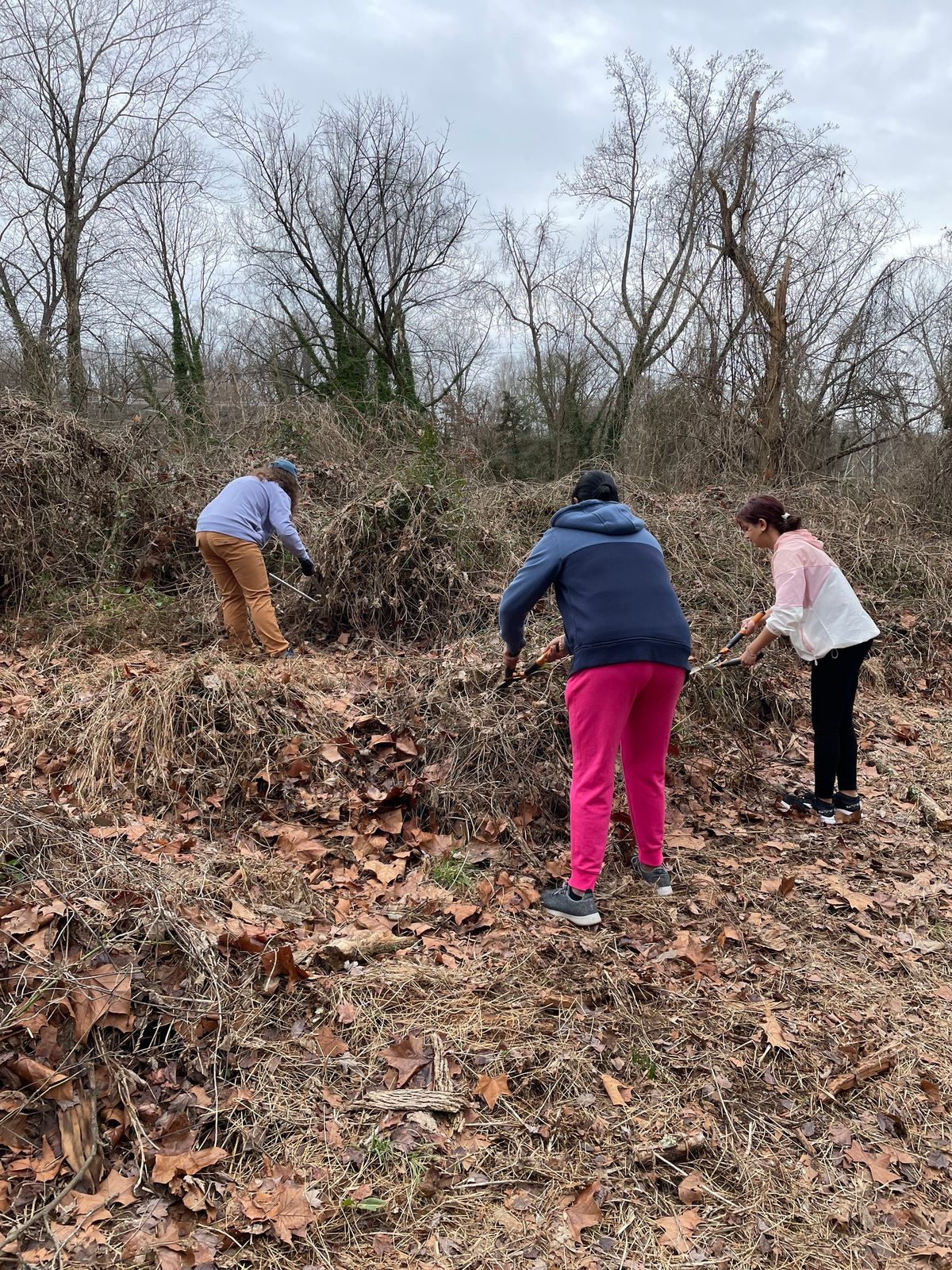 Forest Invasive Plant Management Day