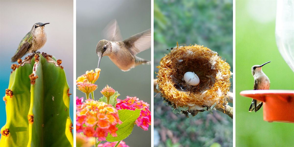 Gardening for Hummingbirds