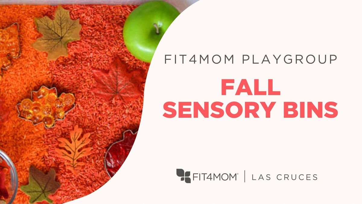 FIT4MOM Playgroup | Fall Sensory Bins