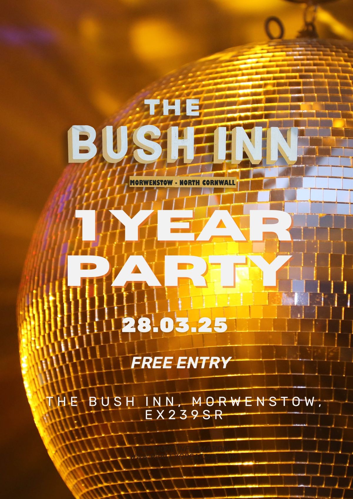 1 YEAR PARTY @ The Bush Inn