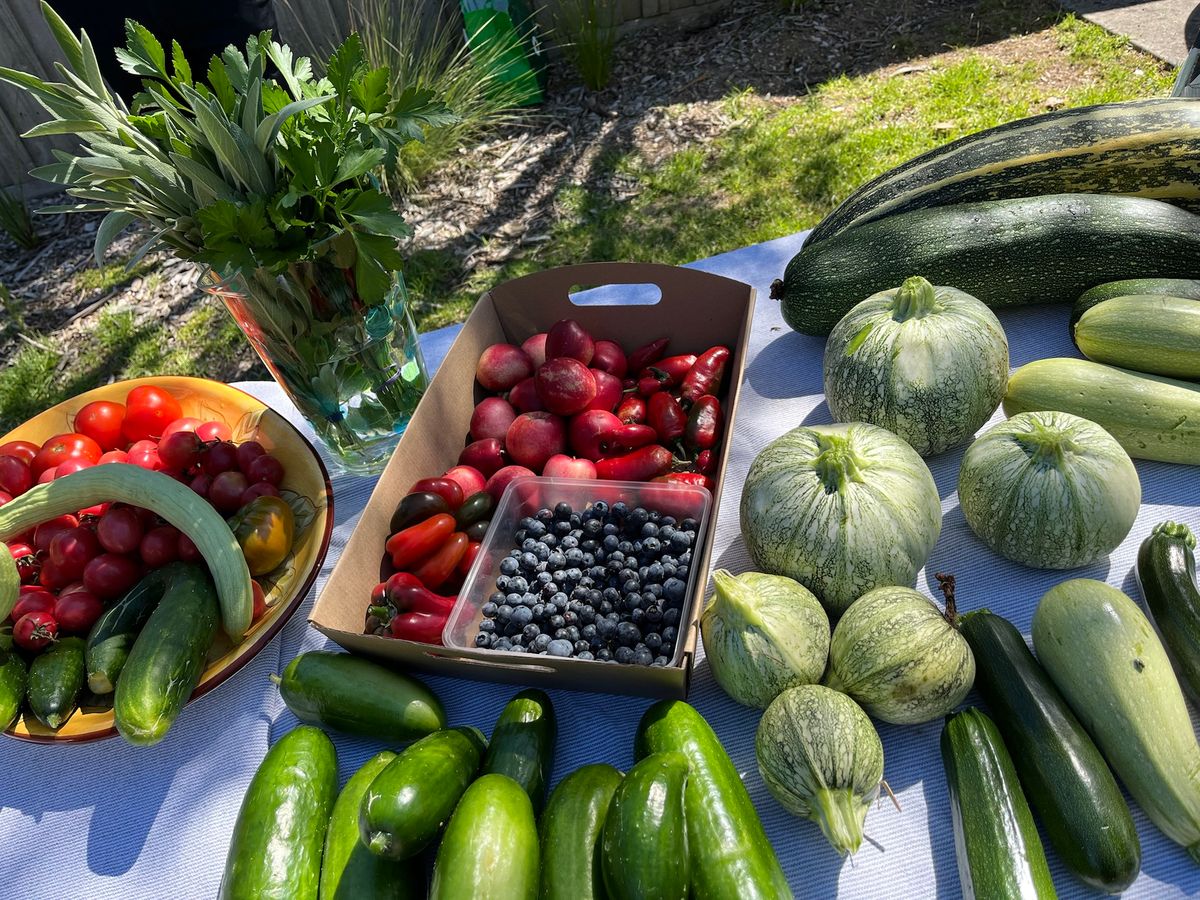 Harvest exchange at the Eco Centre