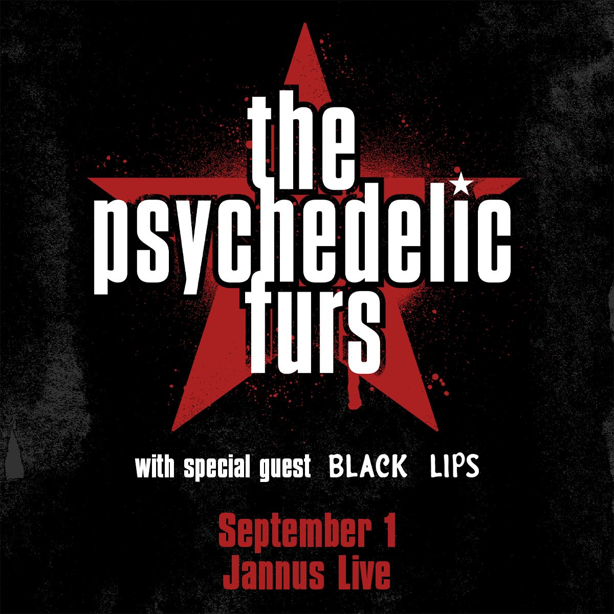 The Psychedelic Furs in St. Petersburg, FL