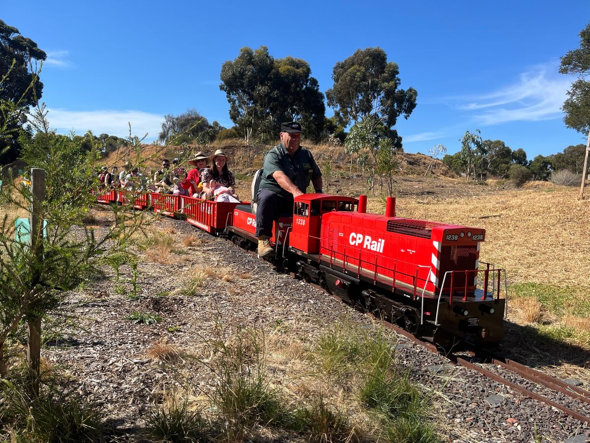 Real Trains In Miniature - May Open Day