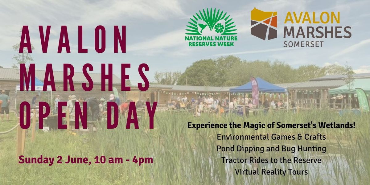 Avalon Marshes Open Day