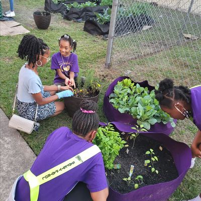 Tristan's Acceleration Academy, Inc.