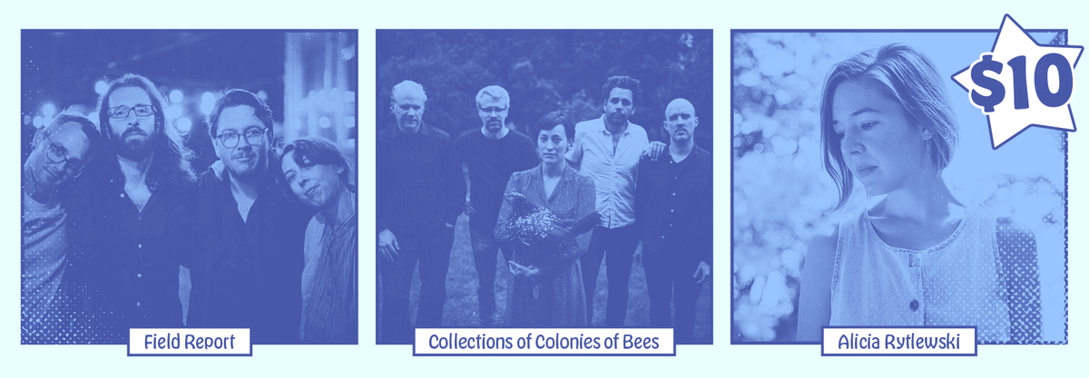 Field Report with Collections of Colonies of Bees