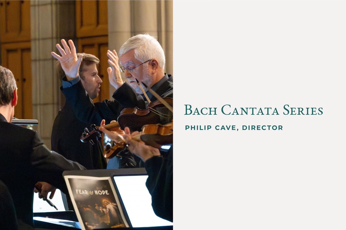 Bach Cantata Series: Solo Cantatas