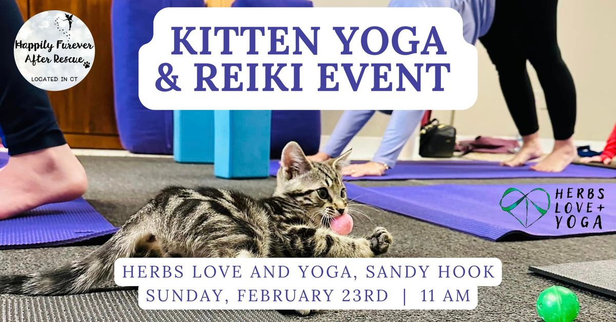 Kitten Yoga & Reiki Event \ud83e\uddd8\ud83c\udffb\u200d\u2640\ufe0f\ud83d\udc08