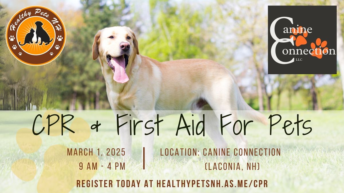 CPR & First Aid For Pets With April Begosh (Hosted by Canine Connection, Laconia NH)